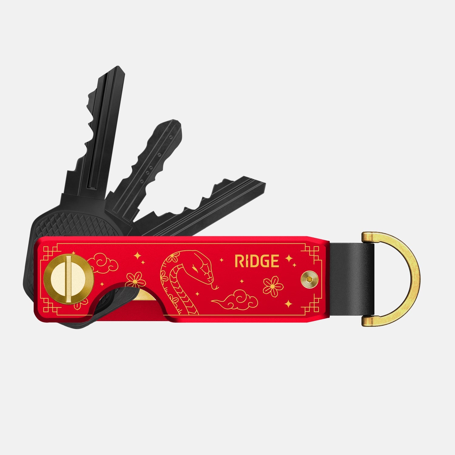 Year of the Snake